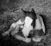 IMG_8313 IMG_8313