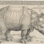 754px-Dürer's_Rhinoceros,_1515